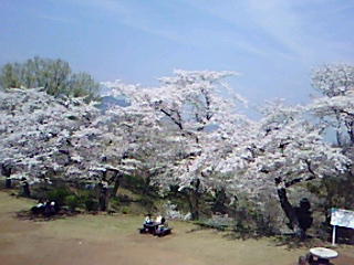 b0137932_17175491.jpg