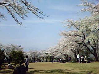 b0137932_1719475.jpg