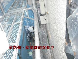 塗装工事5日目_f0031037_20341277.jpg