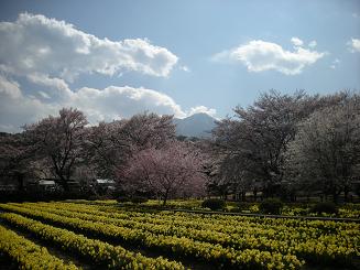 b0024439_1512439.jpg
