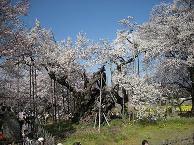 b0024439_8115669.jpg