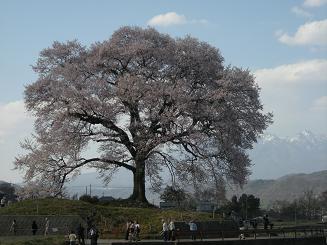 b0024439_8233351.jpg