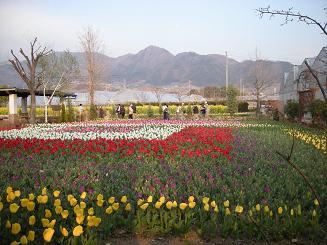 b0024439_8295466.jpg