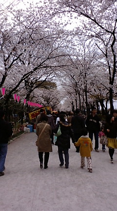 c0146040_18401040.jpg