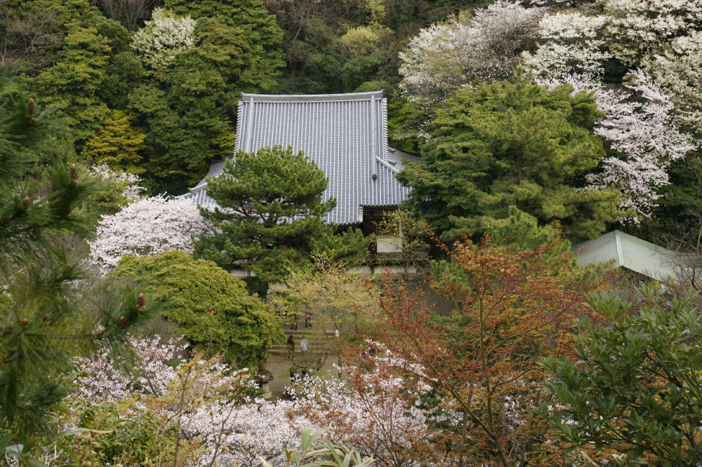 古建築を観る(その1)～横浜「三渓園」(3)～_e0132243_21254391.jpg