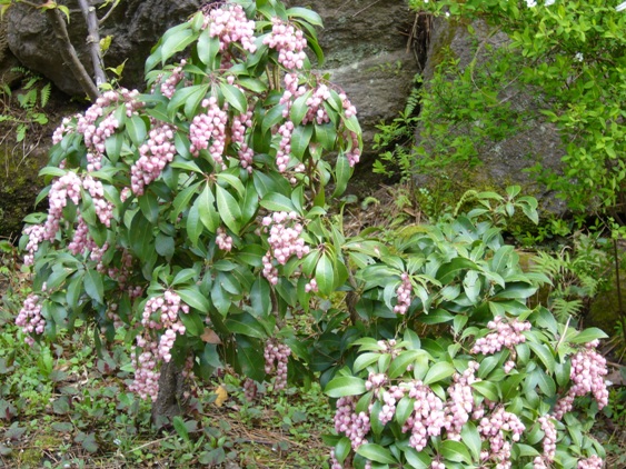 f0063944_1135637.jpg