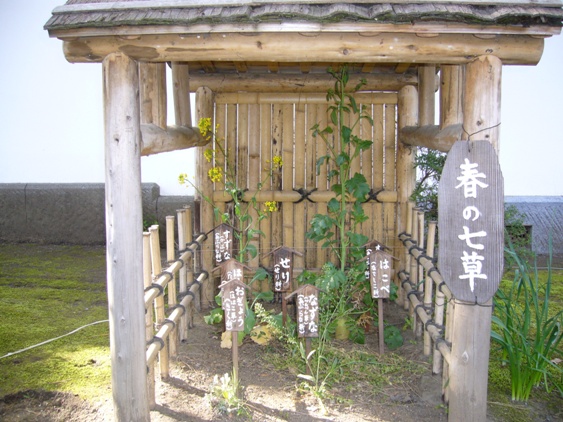 f0063944_1152726.jpg
