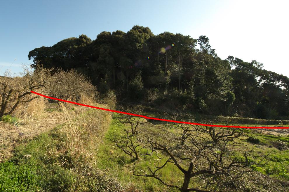 d0001745_134559.jpg
