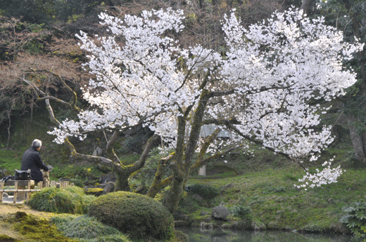 c0093046_7503982.gif