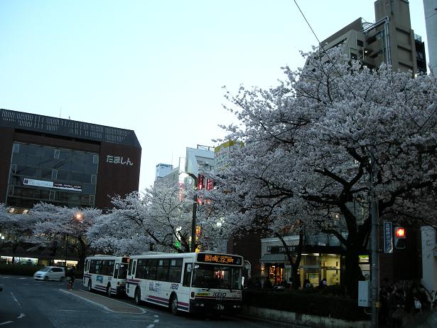 e0092446_0331036.jpg