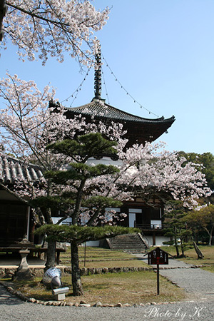 c0127748_1893056.jpg