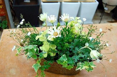 新春セール！寄せ植え40％オフ！ - 造花ギフトアレンジと寄せ