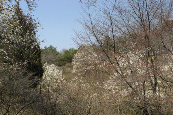 f0007956_2014163.jpg