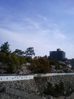 東京へ_c0170061_821077.jpg