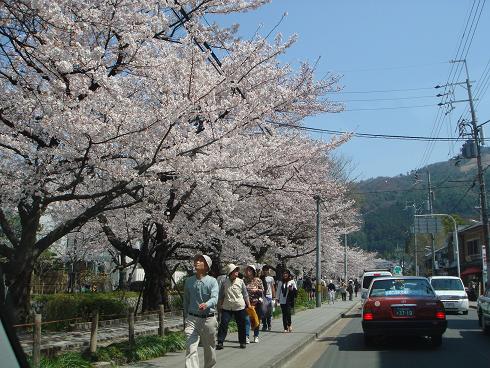 c0148762_1615535.jpg