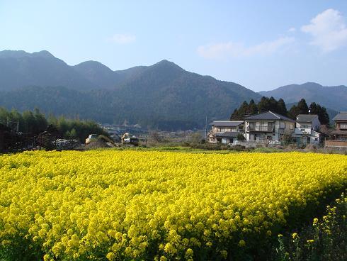 c0148762_1733496.jpg