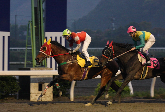 森井美香騎手、通算勝利100勝目～_a0077663_13314744.jpg