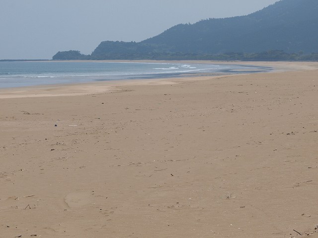b0135573_20431563.jpg