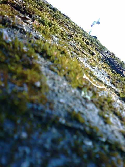 c0082573_15245872.jpg