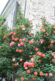 f0120980_15182484.jpg