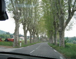 f0120980_1534255.jpg