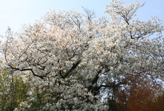 b0136683_111414100.jpg