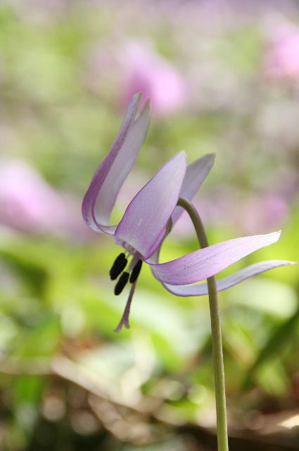 c0129389_1627720.jpg