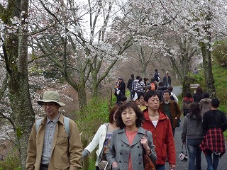b0132693_11352028.jpg
