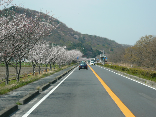 513号 車窓から～ _b0154394_205555.jpg