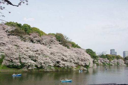 f0084795_2364051.jpg