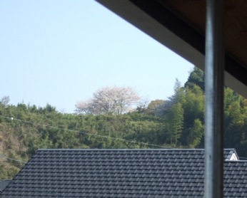 c0069498_1810781.jpg
