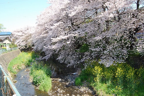 c0124100_22353836.jpg