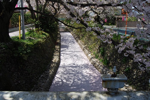 c0124100_223556100.jpg