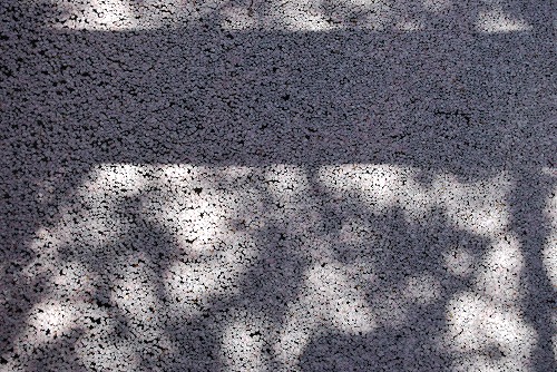 c0124100_22361250.jpg