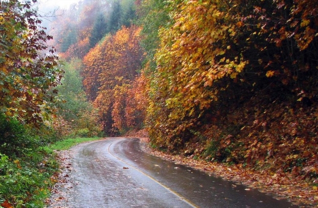 c0072801_411699.jpg