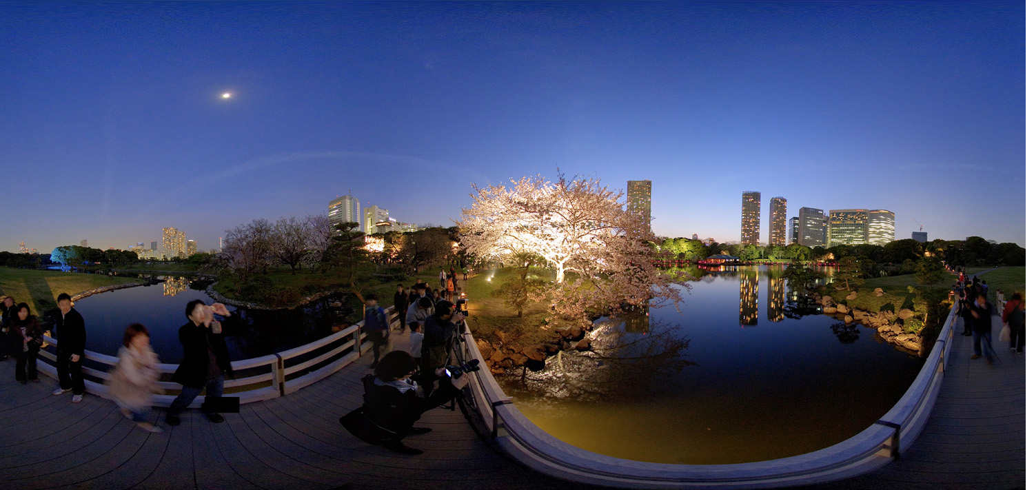 Hamarikyu Park Cherry Blossoms 浜離宮恩賜庭園の夜桜ライトアップ Panopic360tokyo
