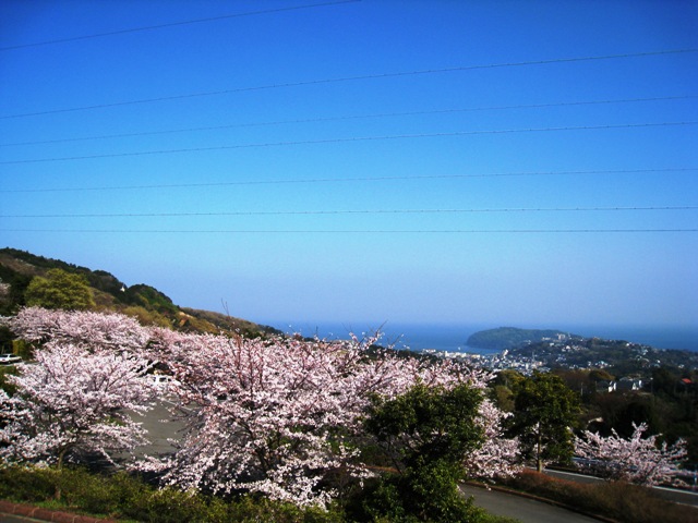 f0062102_2252692.jpg