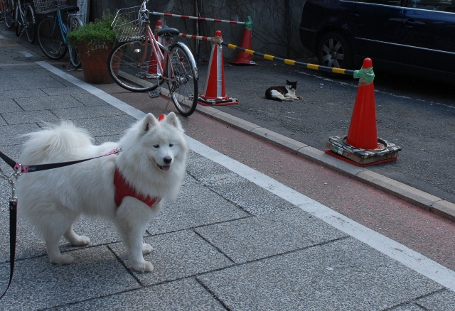 港町横浜～♪　元町編　　4月6日　　[月]_e0018604_13171537.jpg