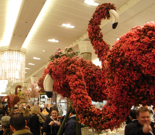 メイシーズのフラワーショー Macy\'s Flower Show 2009_b0007805_838593.jpg