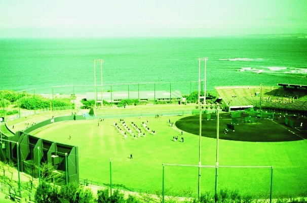 f0177305_195713.jpg