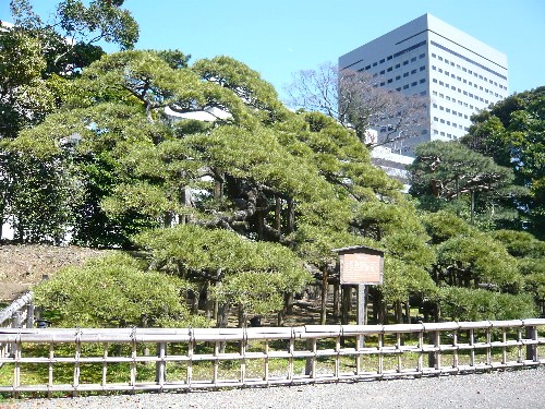 【東京】　浜離宮恩賜庭園_c0058606_1485068.jpg