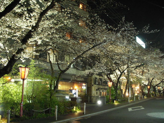 a0091907_16212033.jpg
