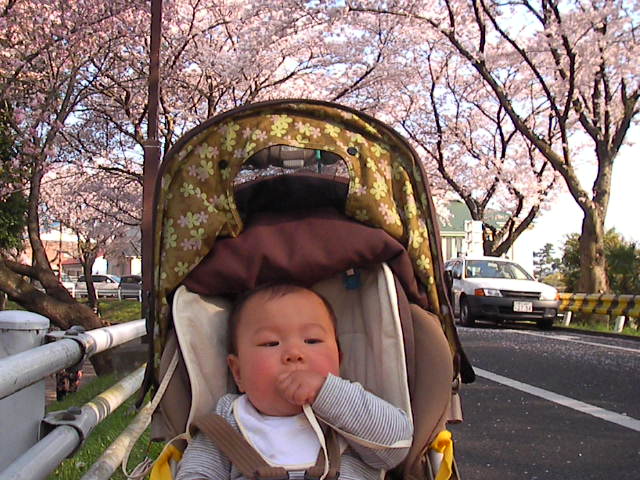 f0038407_16354775.jpg