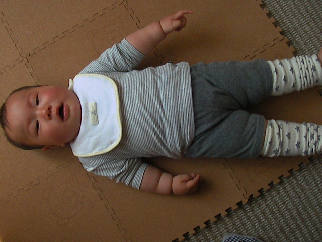 f0038407_1636458.jpg