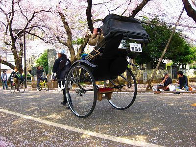 谷中で花見_a0036808_19153095.jpg
