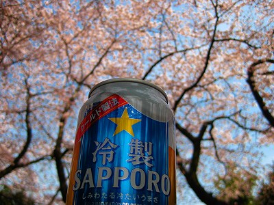 谷中で花見_a0036808_1993798.jpg