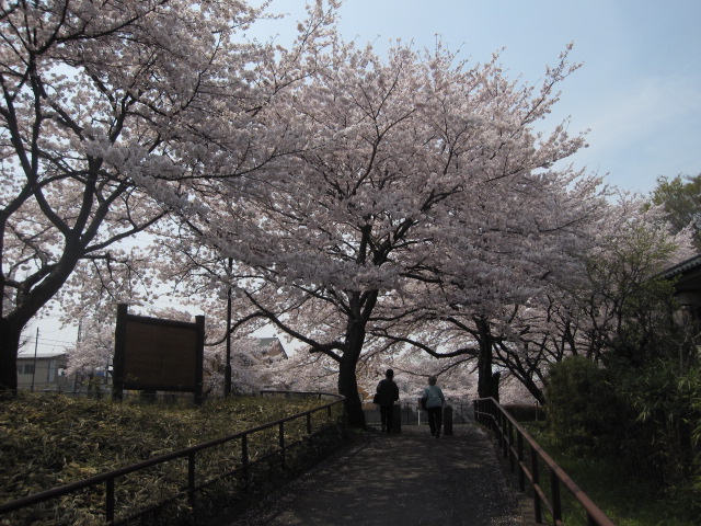 東京の桜その2_b0042308_2217456.jpg