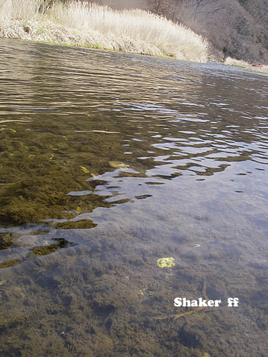 f0021008_11362059.jpg