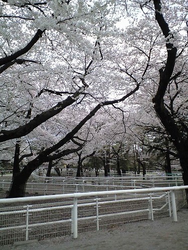 f0006509_23131059.jpg