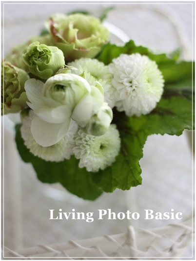 LIVING　PHOTO　BASIC　Lasson1_c0186410_2138862.jpg